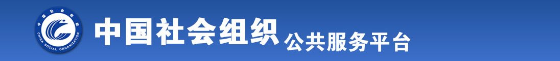 插BB全国社会组织信息查询